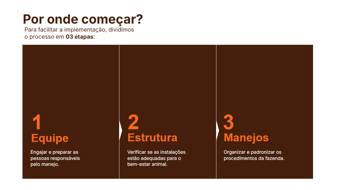 Página do guia mostrando as três etapas de implementação