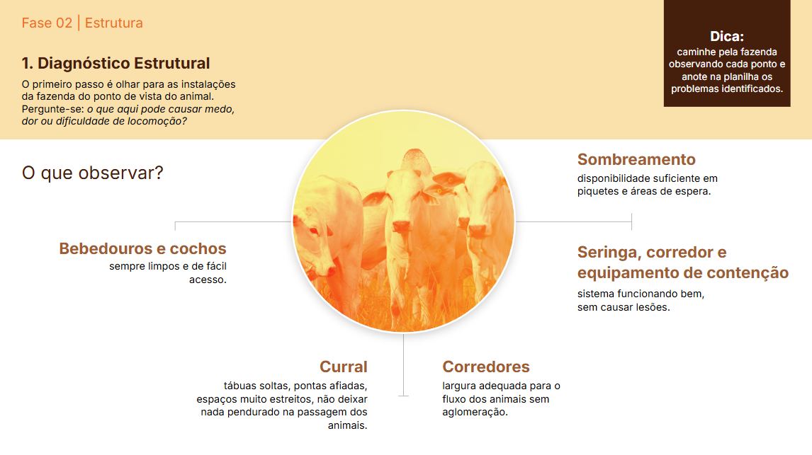Página do guia sobre diagnóstico estrutural na fazenda